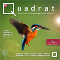 Quadrat Februar 2012